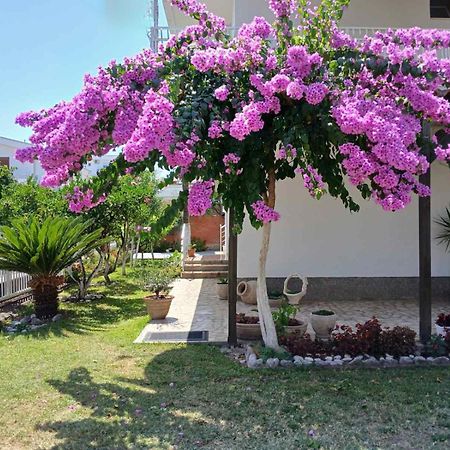 Vila Adriatik Ulcinj Exteriör bild