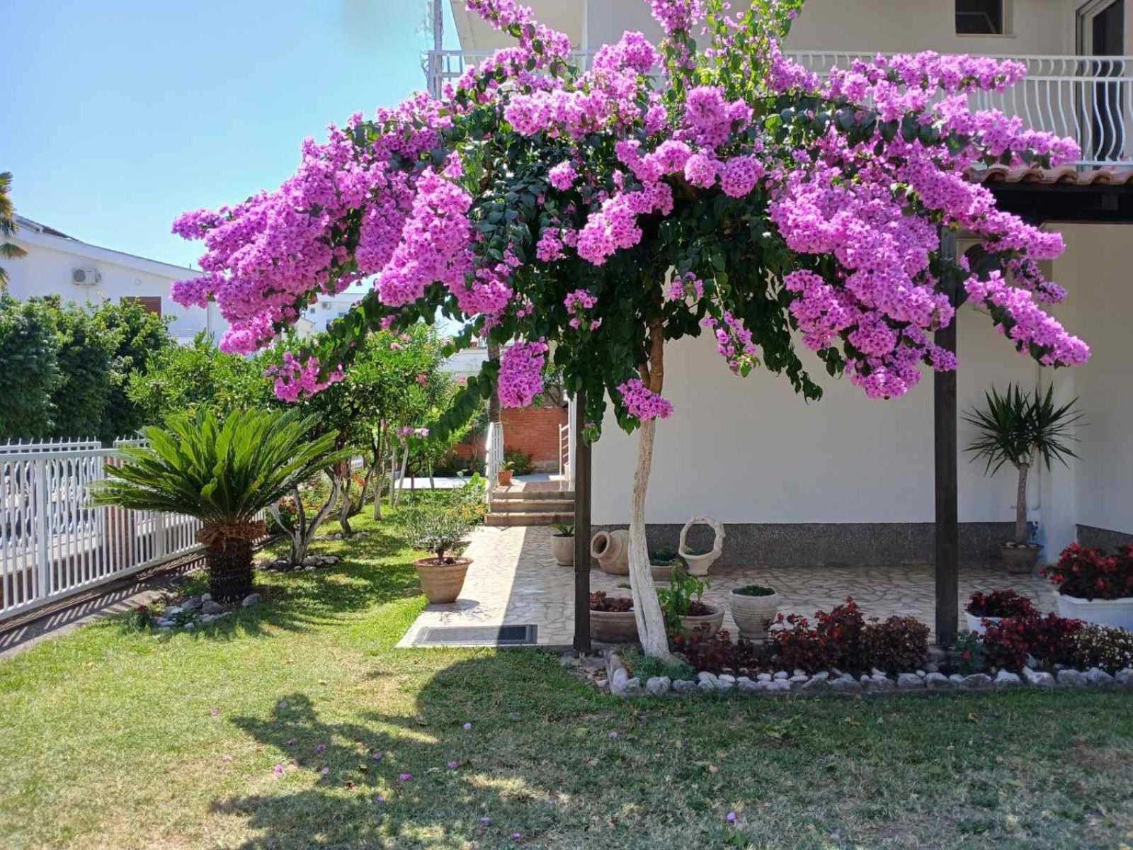 Vila Adriatik Ulcinj Exteriör bild