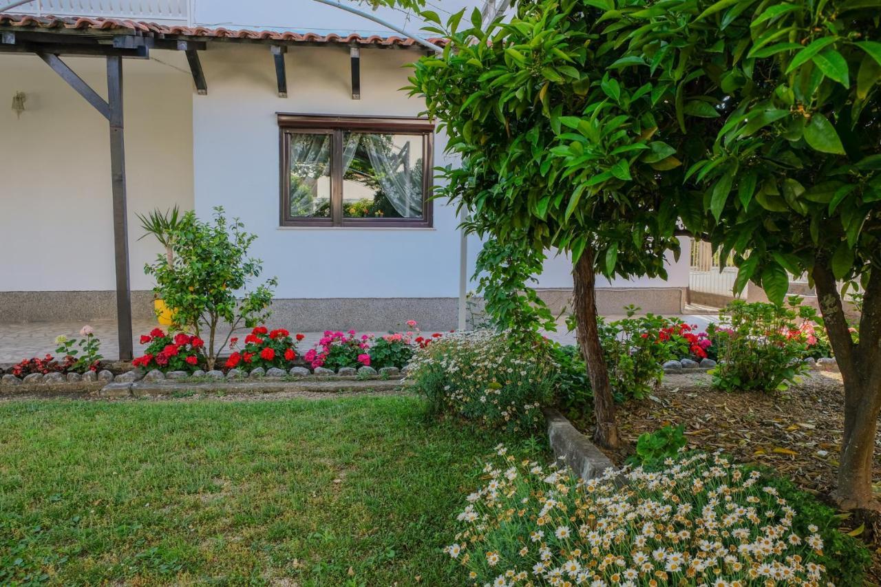 Vila Adriatik Ulcinj Exteriör bild